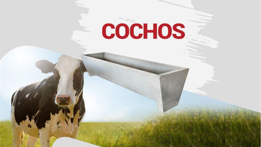 Cochos